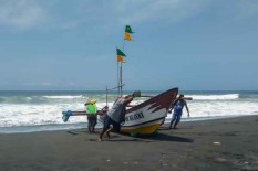 Nelayan Pantai Congot Gagal Panen Ikan Bawal Laut