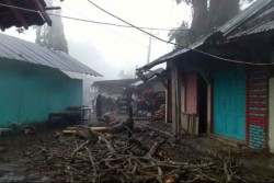 Diguyur Hujan Selama 20 Menit, Dahan Pohon Patah Timpa Kios Warga Banjarsari