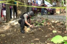 Warga Paliyan Temukan Granat Aktif di Halaman Rumah