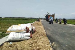 Jalan Penghubung Demangrejo-Tuksono Ditarget Selesai 2020