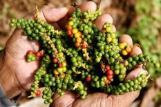 Wah, Indonesia Punya Peluang Bisnis di Meksiko. Bidang Apa?