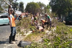 Siap-siap, 13 November Akan Ada Penertiban Serentak Jalan di Bantul