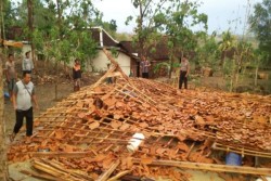 Kandang Sapi di Boyolali Bergeser 1 Meter tapi Tidak Roboh Saat Dilanda Angin Kencang