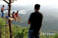  Libur Akhir Tahun, Kebun Teh Tritis dan Kalibiru Kulonprogo Sediakan Angkutan untuk Wisatawan