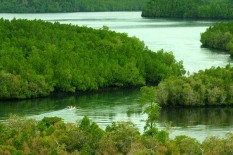 Investasi Wisata di Kawasan Konservasi Mulai Digenjot