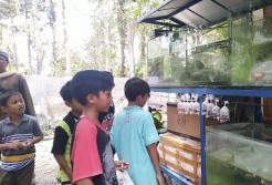 Melalui Festival, Pengetahuan tentang Satwa Diberikan kepada Anak-Anak