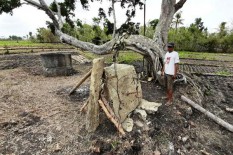 Olah Lahan Pertanian, Warga Bleberan Playen Temukan Batu Menhir