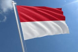 Atlet Polo Air Ridjkie Mulia Jadi Pembawa Bendera Indonesia di Pembukaan SEA Games 2019