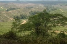 OPINI: Ibukota Baru Dalam Perspektif Industri Konstruksi