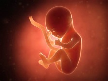Bayi Dalam Kandungan Bisa Mendeteksi Cahaya