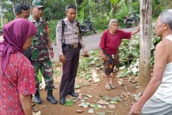 Sedang Mencari Pakan Ternak, Lansia Asal Kalibawang Tewas Tersetrum