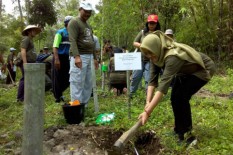Ribuan Bibit Tanaman Langka Ditanam di Bulak Salak