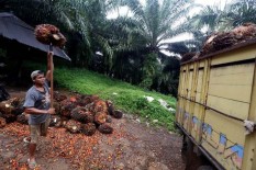 Indonesia Gugat Kebijakan Sawit Uni Eropa ke WTO