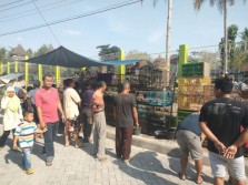 Asa Pedagang Burung Kulonprogo Tergantung di Pasar Baru