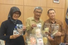 Pasar DIY Dibanjiri Teri Nasi Berformalin