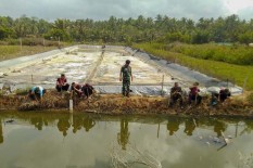 Manfaat Penanaman Sabuk Hijau Bandara Kulonprogo Harus Dirasakan Warga Terdampak