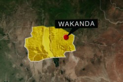 Wakanda Masuk Daftar Negara Mitra Perdagangan Bebas AS