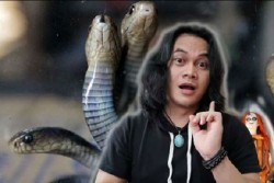 Ramalan Mbah Mijan: Teror Ular Kobra Pertanda Bakal Ada Wabah Penyakit yang Membunuh
