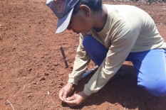 Hujan Belum Merata di Girisubo dan Rongkop