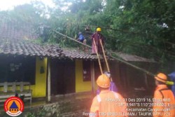 14 Ayam di Cangkringan Mati Tersambar Petir