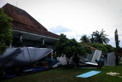 Diguyur Hujan, Pohon di Kulonprogo Bertumbangan