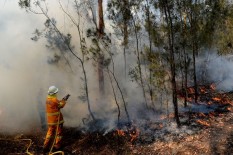 Selebritas Dunia Kumpulkan Dana untuk Bantu Pemadam Kebakaran Australia
