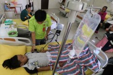 Tujuh Kasus DBD Muncul di Kulonprogo di Awal Tahun