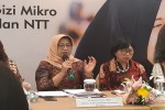 Ibu Hamil dengan Anemia Berisiko Melahirkan Bayi Stunting
