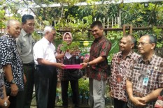 Bantul Resmi Punya Varietas Anggur