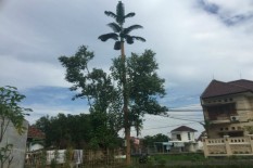 Pemkab Sleman Buru Menara Telekomunikasi Ilegal 
