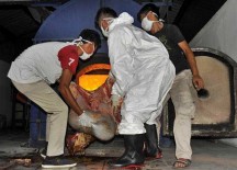 Mengapa Antraks Merebak di Gunungkidul? Ini Penyebabnya