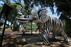 Patung Gajah Bercorak Zebra di Objek Wisata Jurug Diprotes
