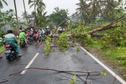 Angin Kencang Terjang Sejumlah Wilayah Kabupaten Magelang, Ini Dampaknya