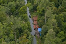 2.500 Bibit Jati Ditanam di Gunung Pecok
