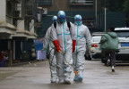 WHO: Terdapat 1.320 Kasus Virus Corona di 10 Negara