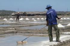 Impor Tiap Tahun Bikin Neraca Garam Oversupply 3,72 Juta Ton, Terus?