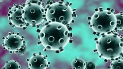 Benarkah Wudhu Bisa Tangkal Virus Corona?