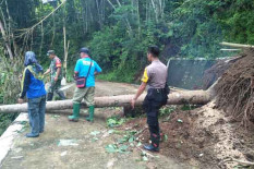 Tanah Longsor di Girimulyo Menutup Akses Jalan