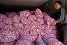 Harga Bawang Putih Tinggi, Mentan Klaim Stok di Dalam Negeri Aman