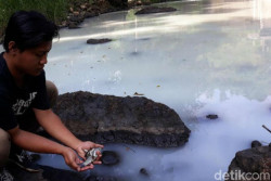 Air Sungai di Kulonprogo Keruh dan Banyak Ikan Mati Mengambang