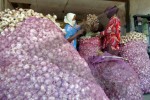 Dugaan Penimbunan 150 Ton Bawang Putih Karawang, Begini Penjelasan Polisi