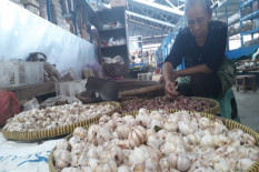 Harga Bawang Putih Menurun, Pedagang Keluhkan Stok Barang Sulit Habis