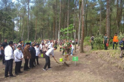 Sehari Setelah Ada Erupsi, Jokowi Kunjungi Merapi