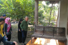 Kasus DBD di Bantul Melonjak, Bulan Ini Sudah 150 Orang Jadi Korban