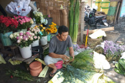 Harga Bunga Mawar di Kulonprogo Naik Dua Kali Lipat