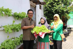 Banyak Sayuran di Lorong Jalan, Bausasran Didorong Menjadi Ekowisata
