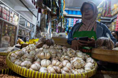 Meski Turun, Harga Bawang Putih Dinilai Masih Tinggi