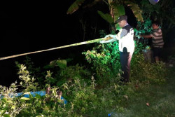 Hendak Cari Pakan Ternak, Warga Pengasih Tewas Terjatuh dari Pohon Munggur
