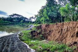 Bronjong Tanggul Serang di Giripeni Ambles