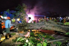 Pohon Tumbang Timpa Mobil di Dekat Balai Kota Jogja